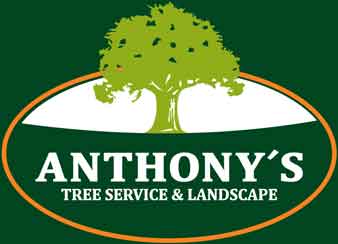 Anthony's Tree Service & Landscape