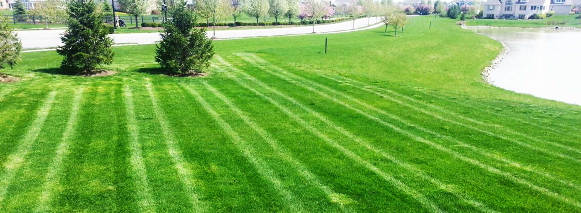 Indianapolis Sodding & Seeding Service