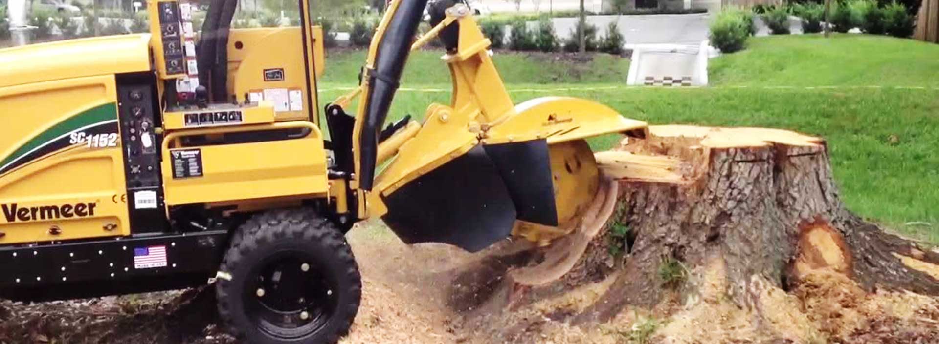 Indianapolis Stump Removal