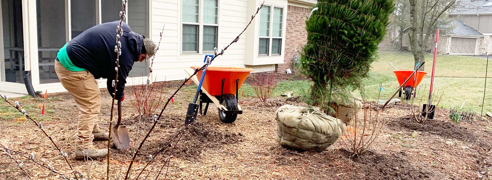 Indianapolis Tree Trimming