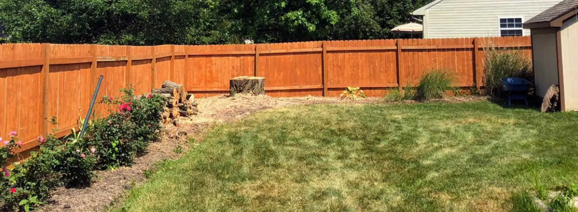 indianapolis stump removal